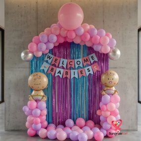 Twins Baby Birthday Decor